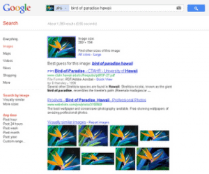 Optimisation des recherches d'image sur Google