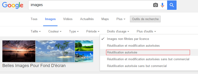 Google Images Copyright