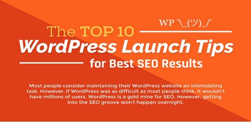 Infographie : conseils pour une meilleure utilisation de WordPress